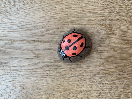 Happy ladybug