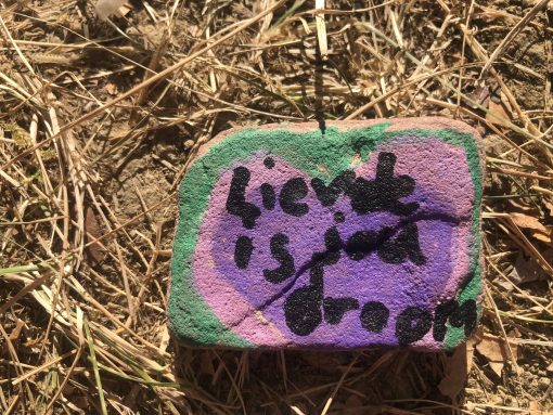 Liefde is jouw droom