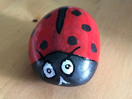 Lieveheersbeestje rood-zwart