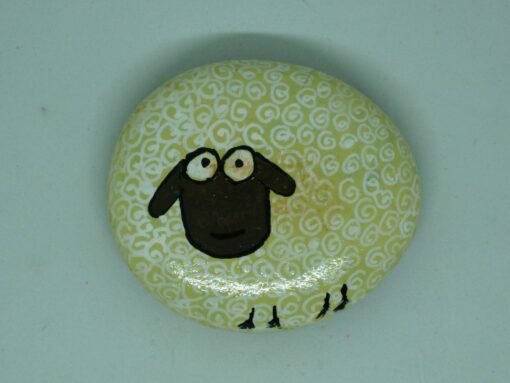 Schaap