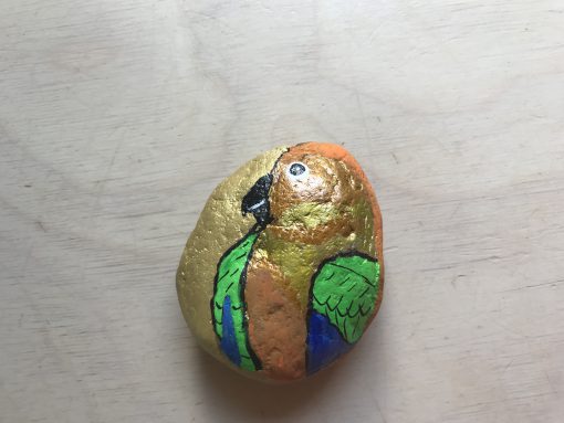 Papegaai