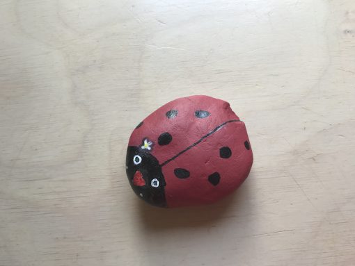 Lieveheersbeestje