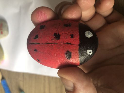 Lieveheersbeestje Frauke