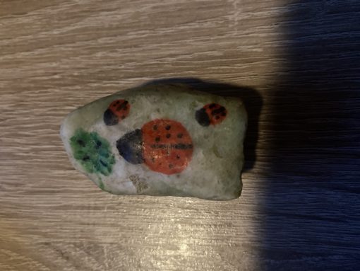 Lieveheersbeestje & klavertje 4