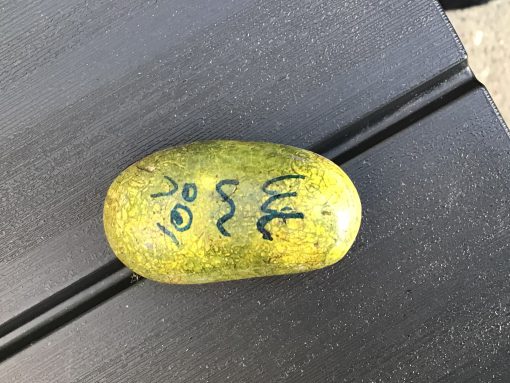 M&m
