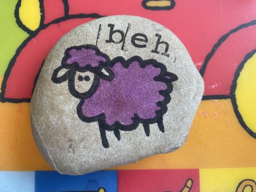 Schaap