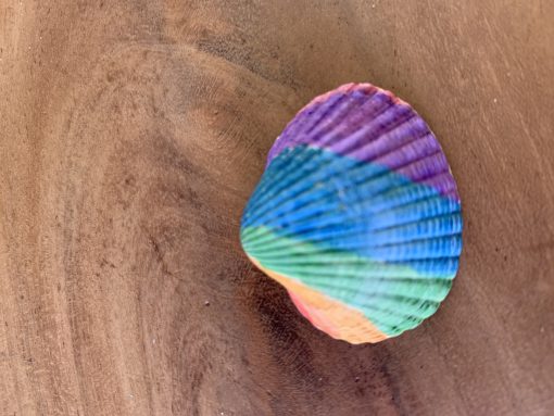 Regenboog