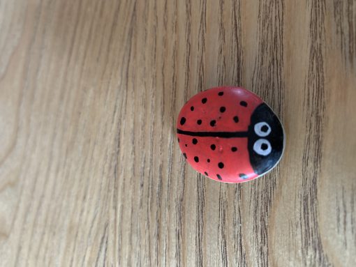 Lady bug