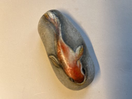 Koi karper