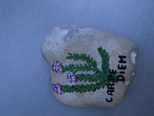 Carpe diem 30