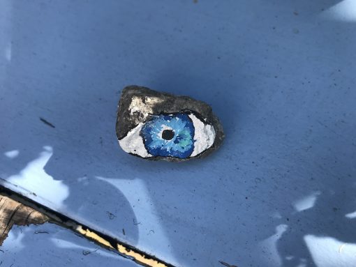 Oog