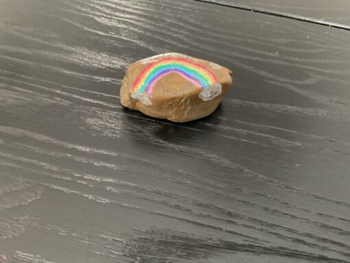Regenboog