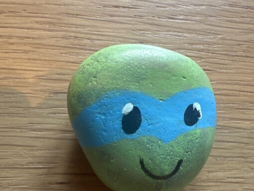 Ninja Turtle