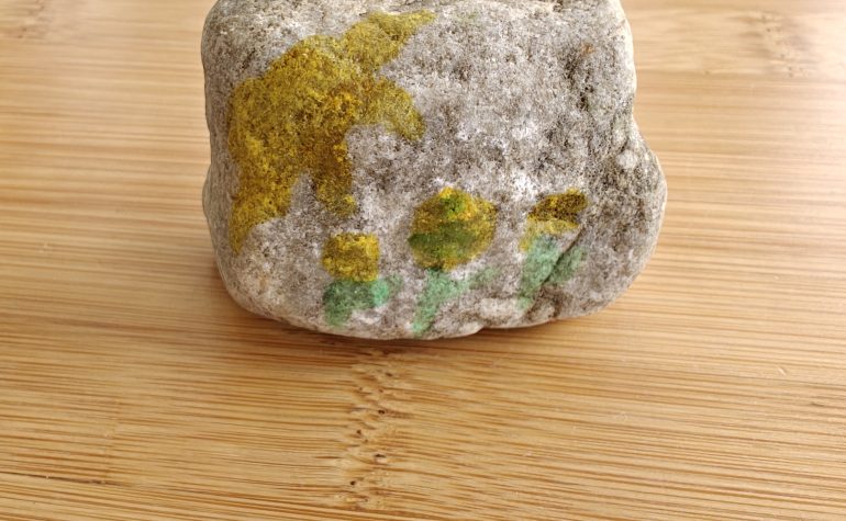 Kei Tof - zonnige bloemen