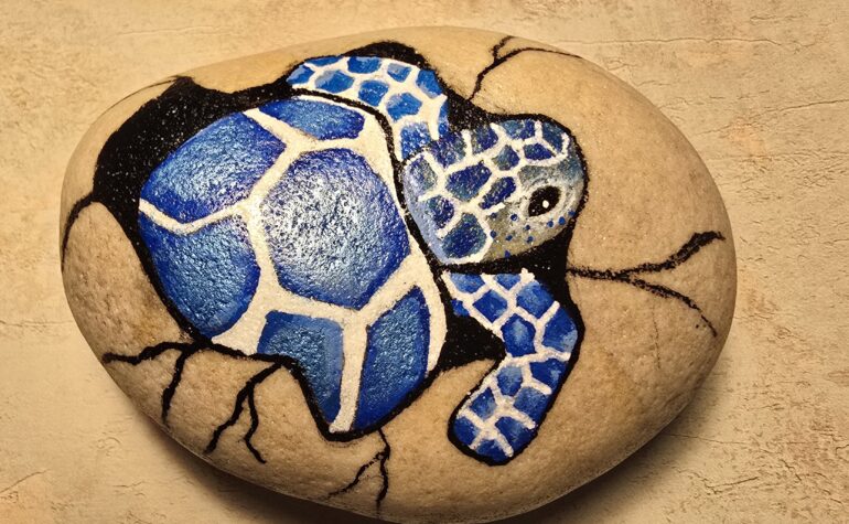 Kei Tof - Blauwe schildpad uit ei