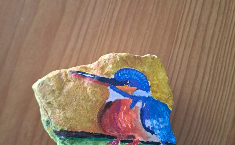 Kei Tof - ijsvogeltje 1