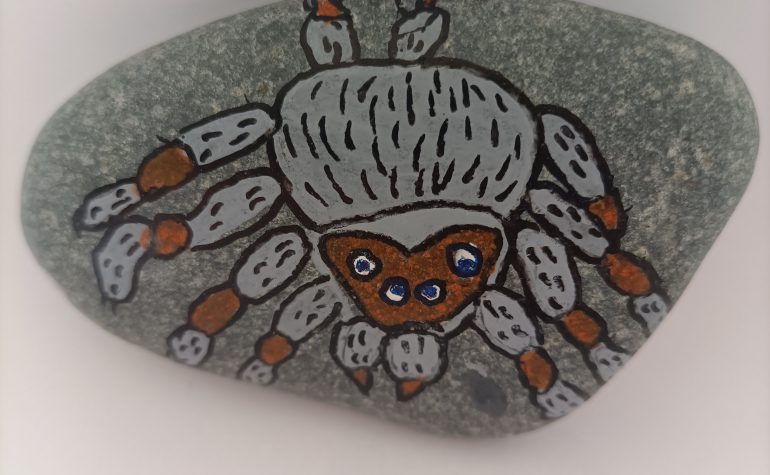 Kei Tof - Itsy Bitsy Spider