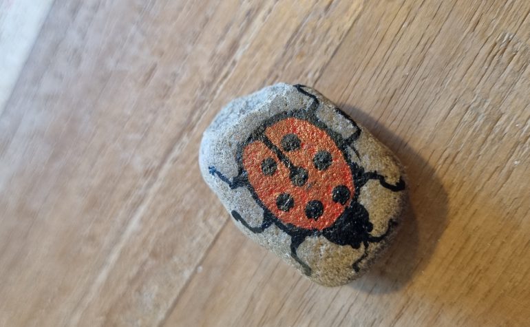 Kei Tof - Lieveheersbeestje mini