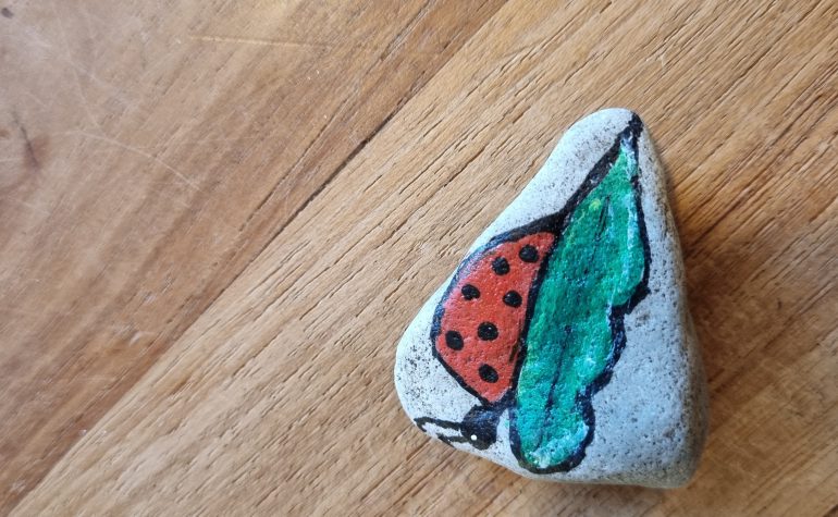 Kei Tof - Lieveheersbeestje op blad