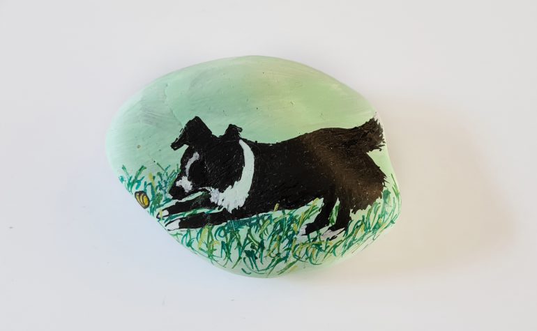 Kei Tof - 007 - border collie met bal