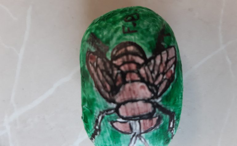 Kei Tof - Insect