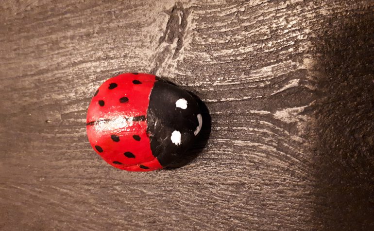 Kei Tof - Lieveheersbeestje