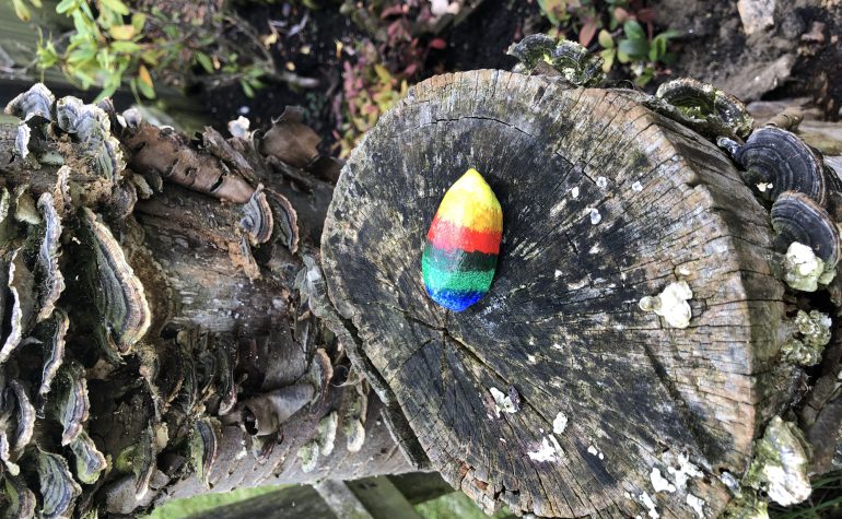 Kei Tof - Regenboog 9230