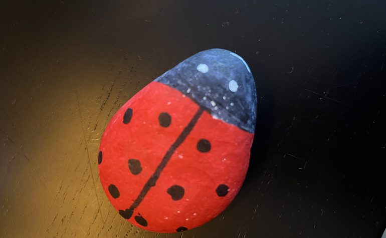 Kei Tof - Lieveheersbeestje