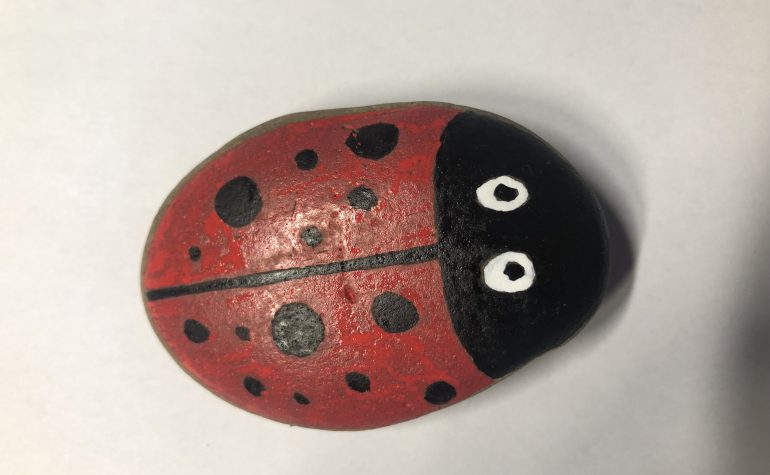 Kei Tof - Lieveheersbeestje 18/8