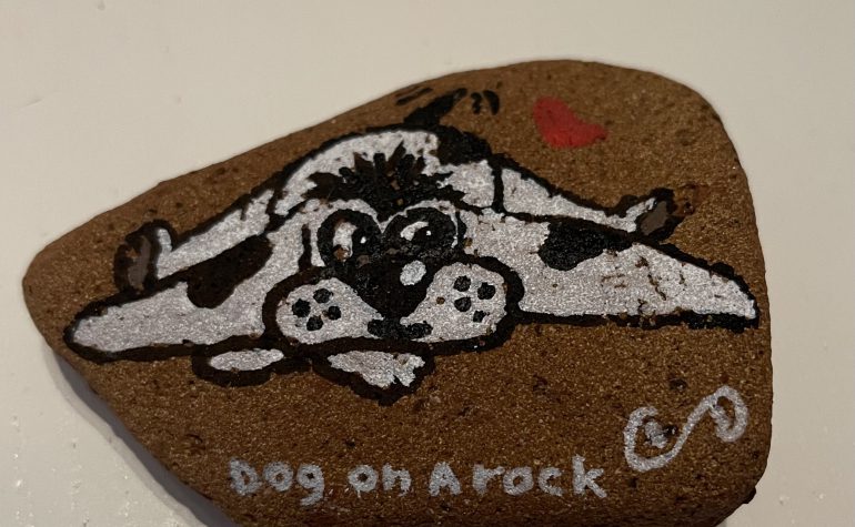 Kei Tof - Dog on a rock