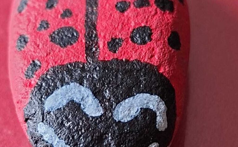 Kei Tof - Lieveheersbeestje