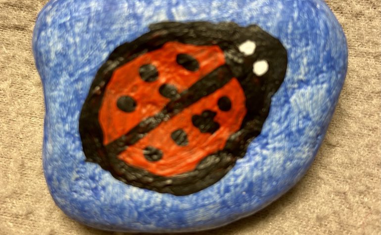 Kei Tof - Lieveheersbeestje