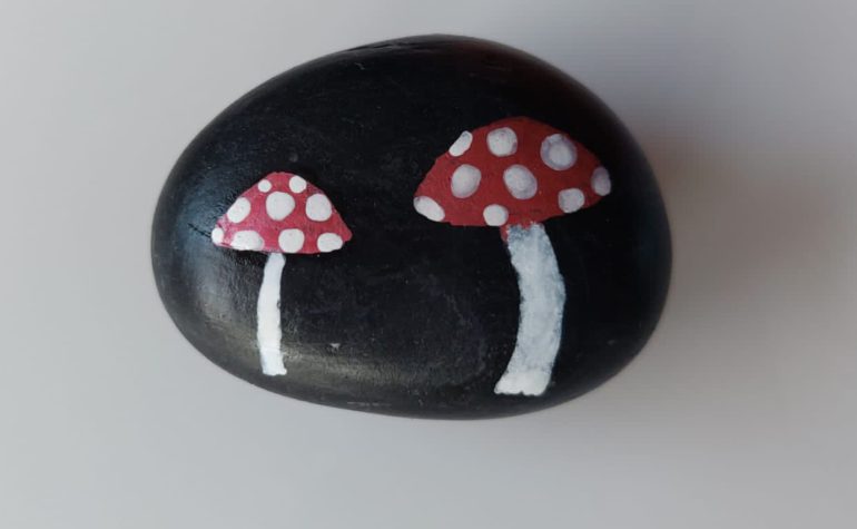 Kei Tof - Paddenstoelen