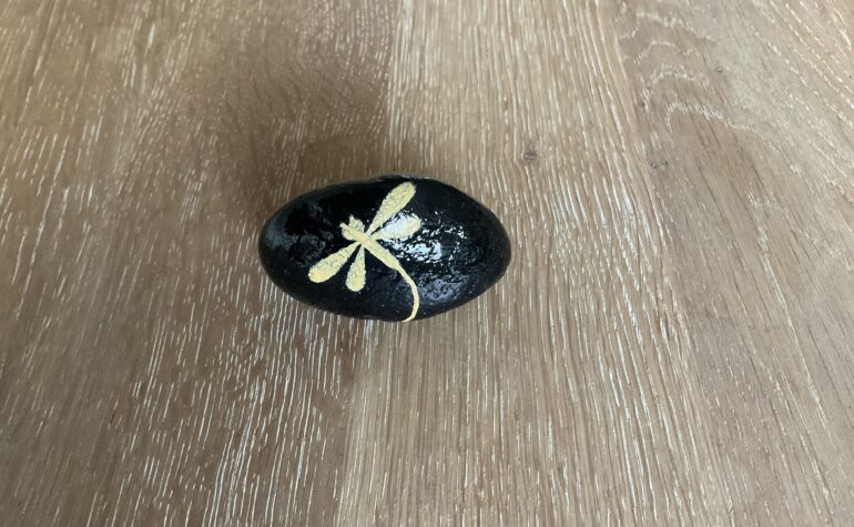 Kei Tof - Happy dragonfly, smile