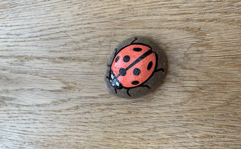 Kei Tof - Happy ladybug