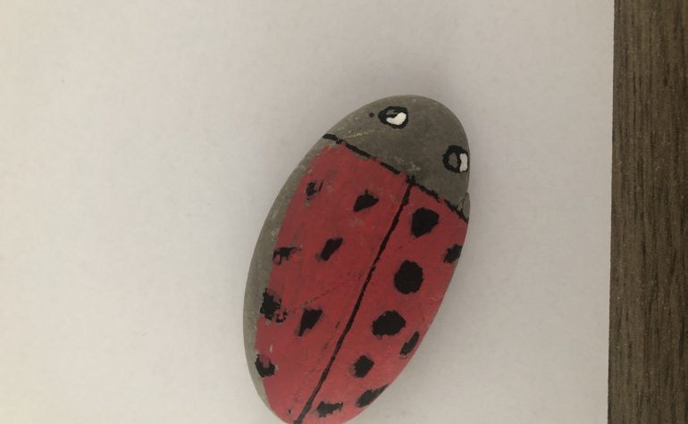 Kei Tof - Lieveheersbeestje