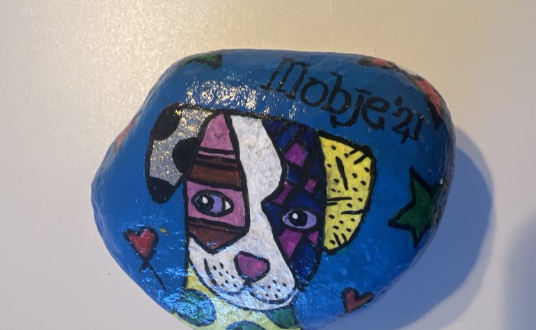 Kei Tof - Hond