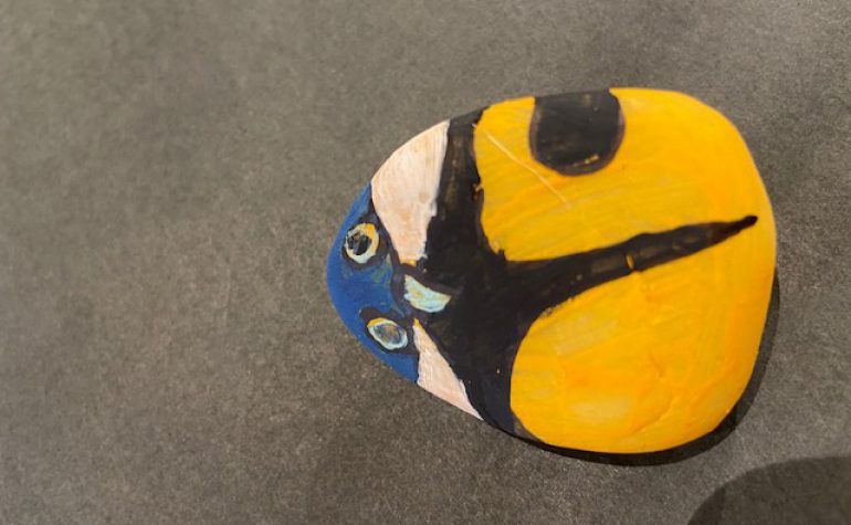 Kei Tof - koolmeesje