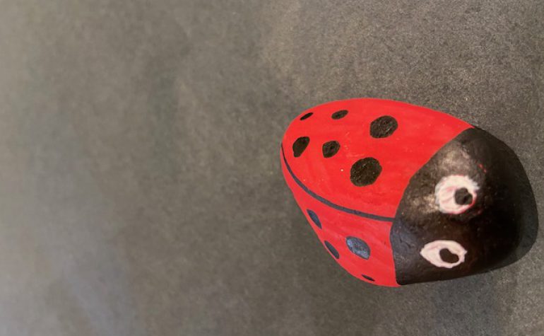 Kei Tof - vredes beestje